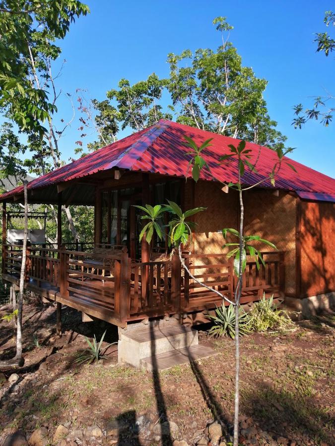 פורטו פרינססה Villa Nagtabon מראה חיצוני תמונה